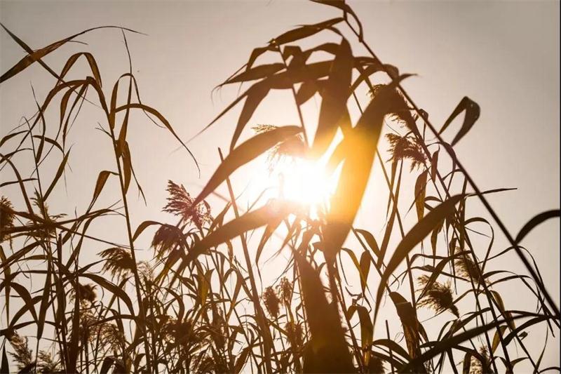 西山旅游團(tuán)建活動(dòng) 太湖西山旅游團(tuán)建