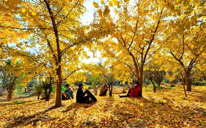 太湖西山景區(qū) 太湖西山旅游攻略