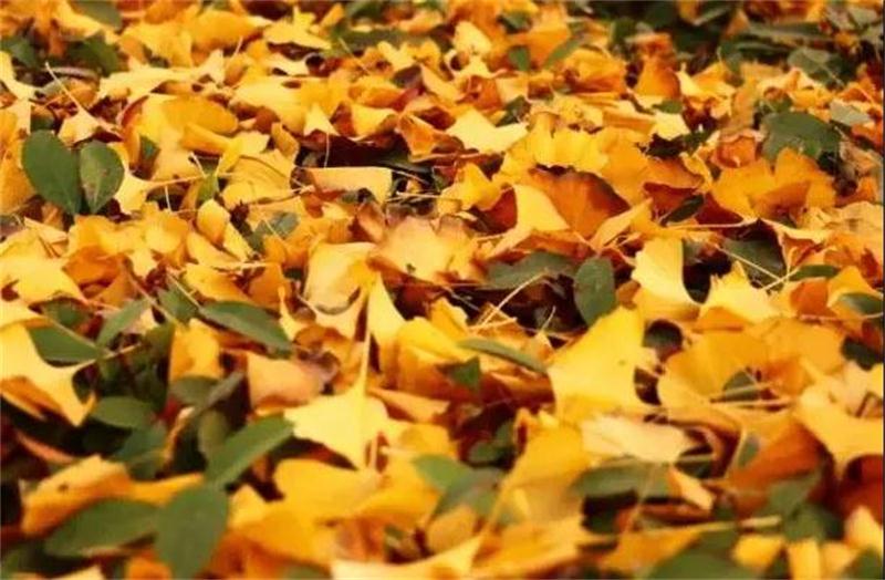 蘇州太湖西山旅游 蘇州西山旅游攻略