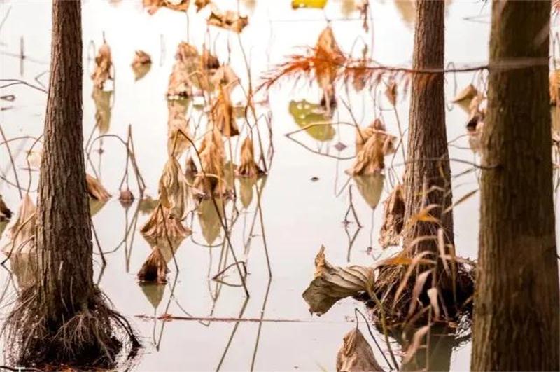 太湖西山旅游策劃 太湖西山旅游