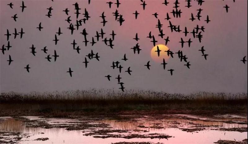 太湖旅游定制 太湖美景