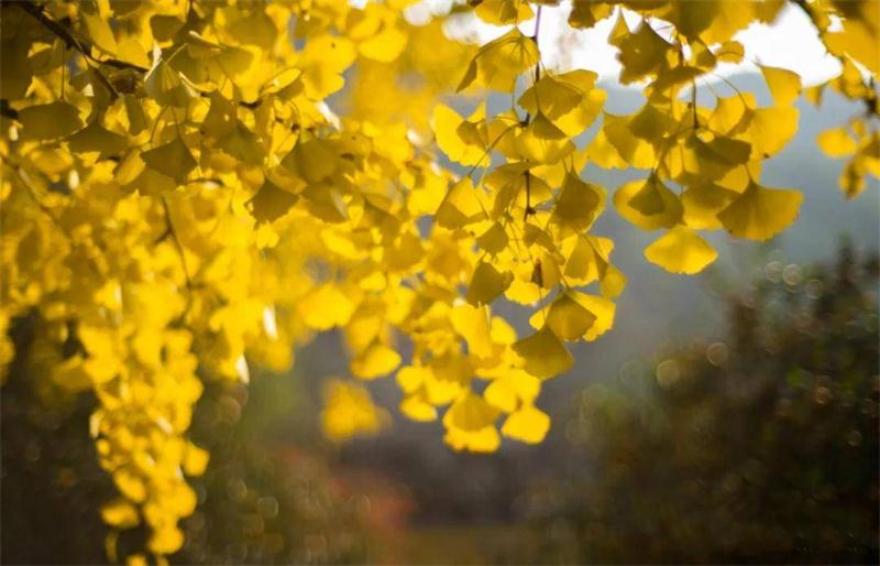 太湖深度游 蘇州太湖旅游團建攻略