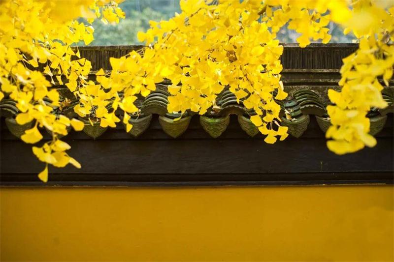 太湖旅游策劃 太湖旅游活動策劃