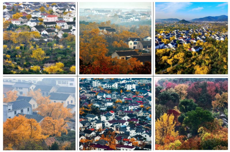 太湖深度游 蘇州旅游活動