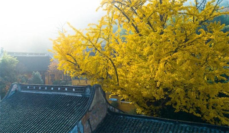 1605578761115178.jpg 太湖旅游景區(qū)