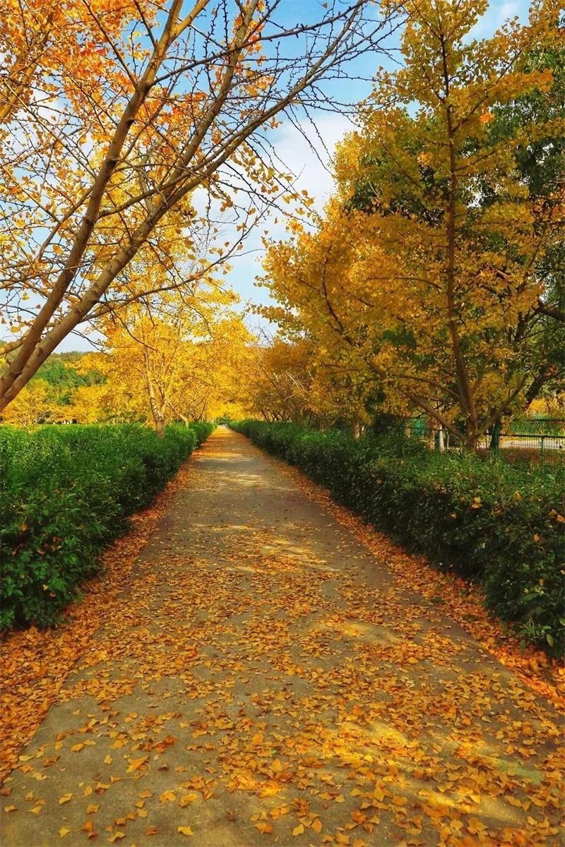 1605579019137112.jpg 秋冬游.jpg