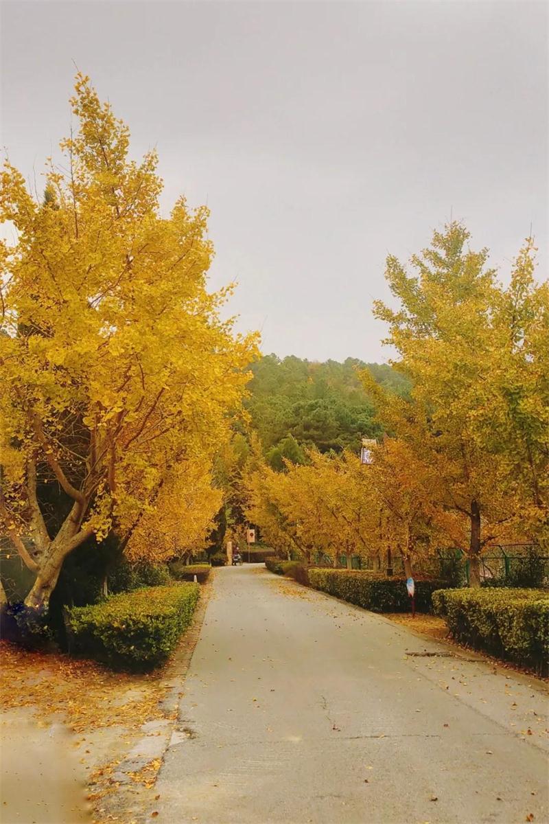 1605579102296919.jpg 微信圖片_20201117101112.jpg