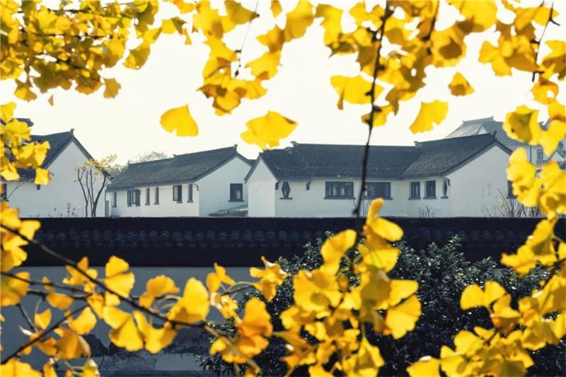 太湖旅游活動策劃 太湖旅游美景