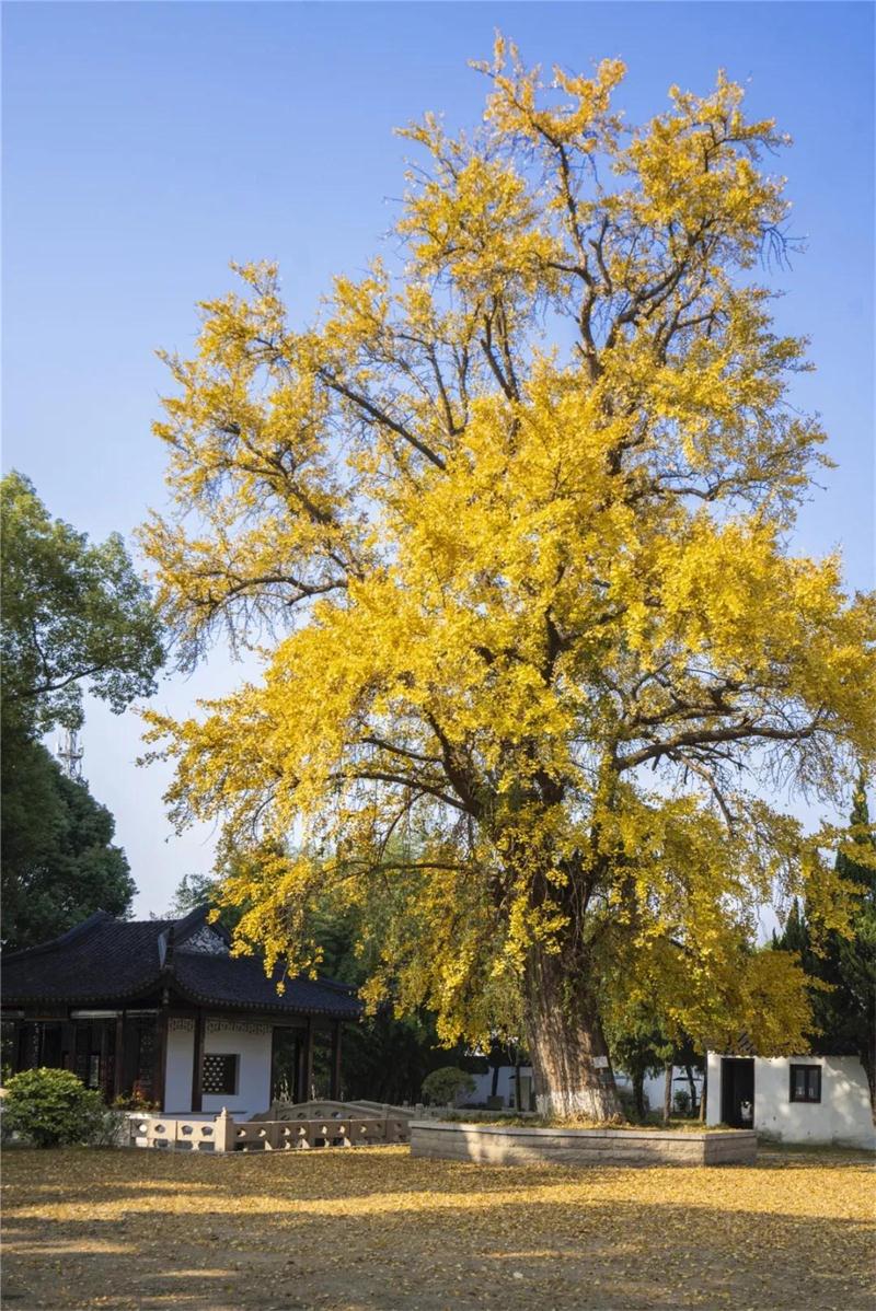 1605579523828189.jpg 微信圖片_20201117101627.jpg