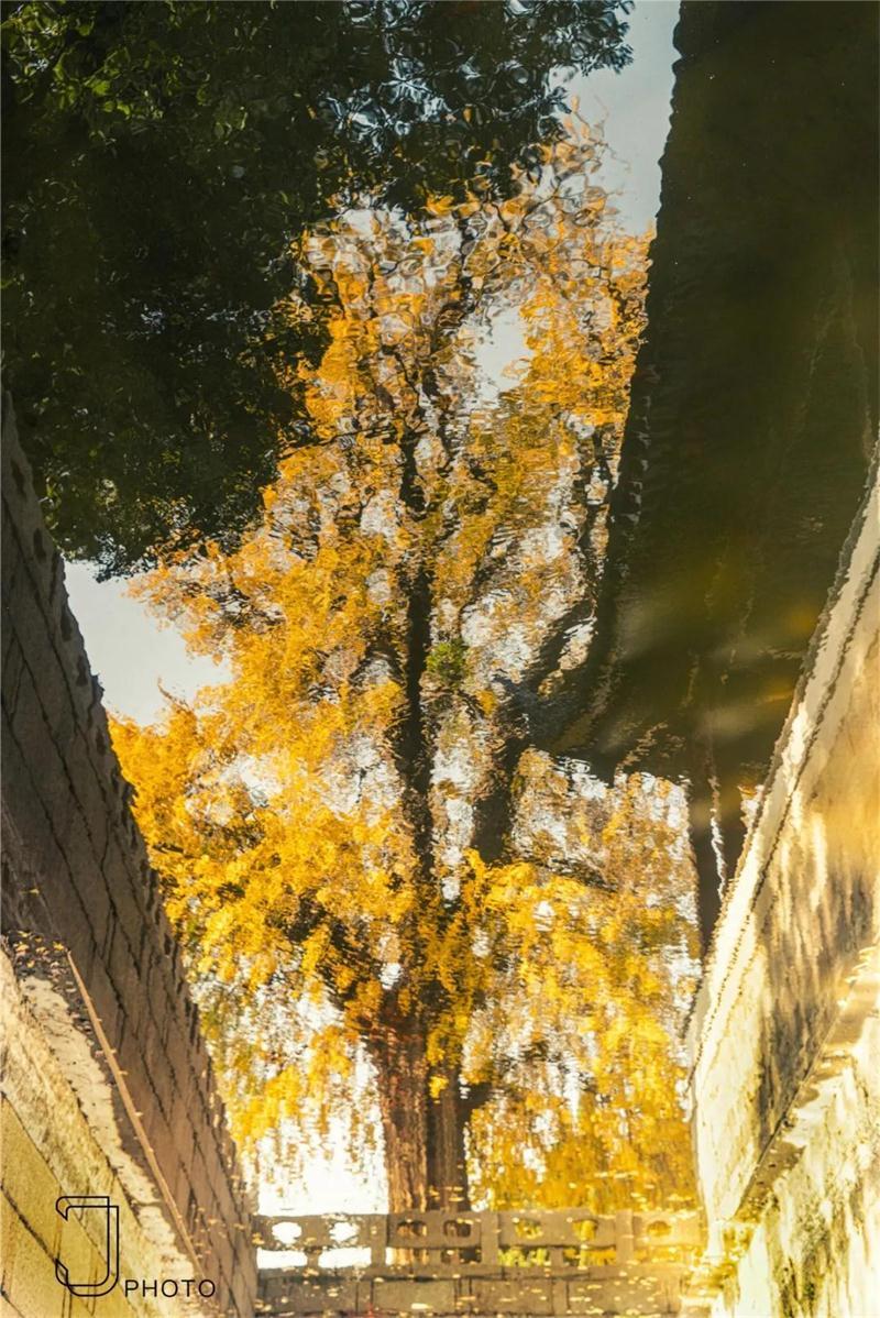 1605579608787911.jpg 微信圖片_20201117101938.jpg