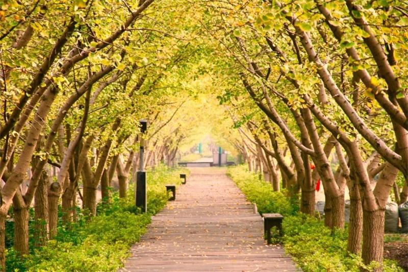 1605579670342059.jpg 微信圖片_20201117102043.jpg