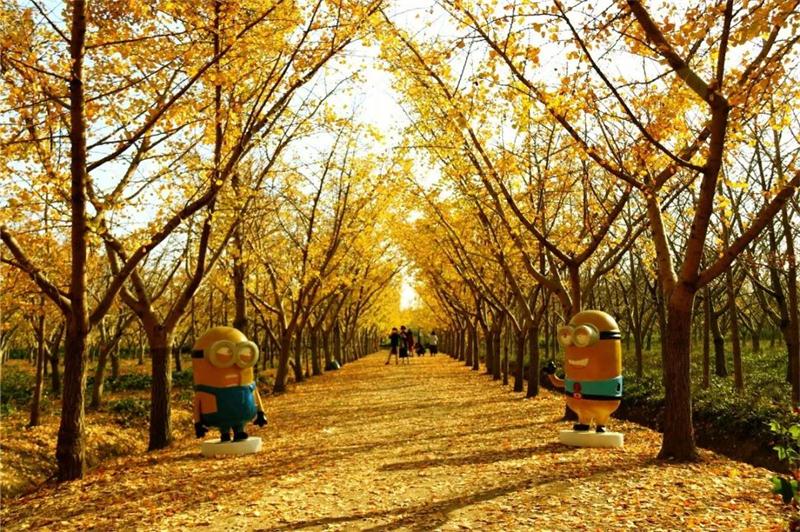 1605579700760371.jpg 微信圖片_20201117102117.jpg