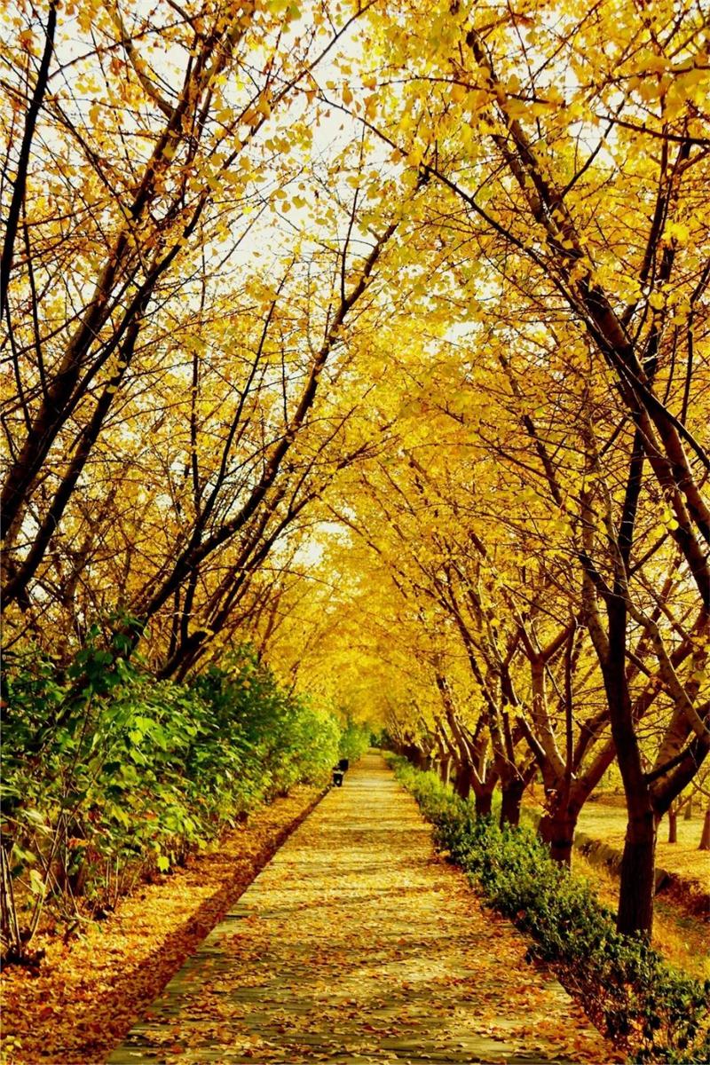 1605579777894974.jpg 旅游團建策劃