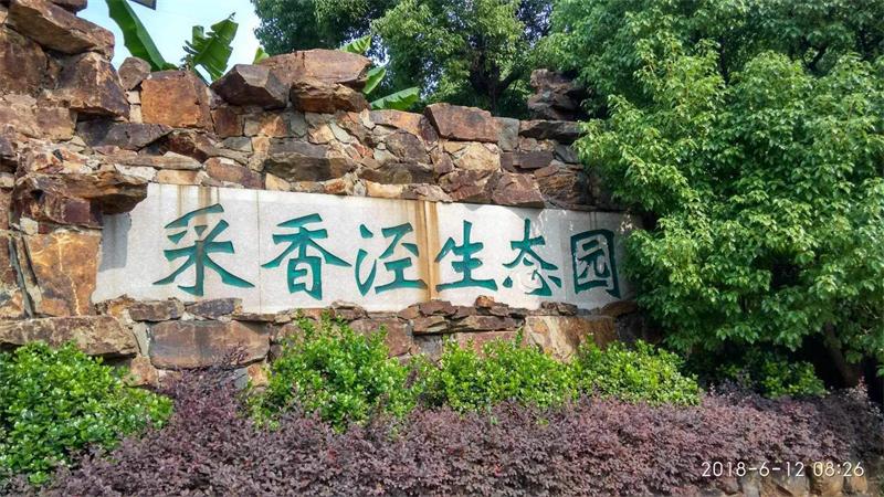 1605679503437331.jpg 采香涇生態(tài)園.jpg