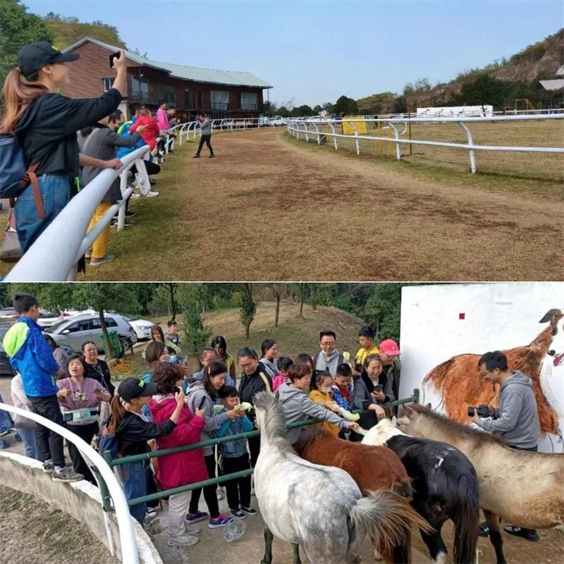 1605833925595904.jpg 玄旸山莊.jpg