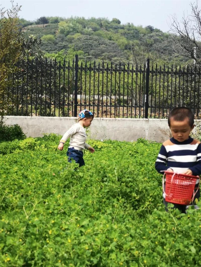 1605835071827285.jpg 太湖西山團(tuán)建策劃.jpg