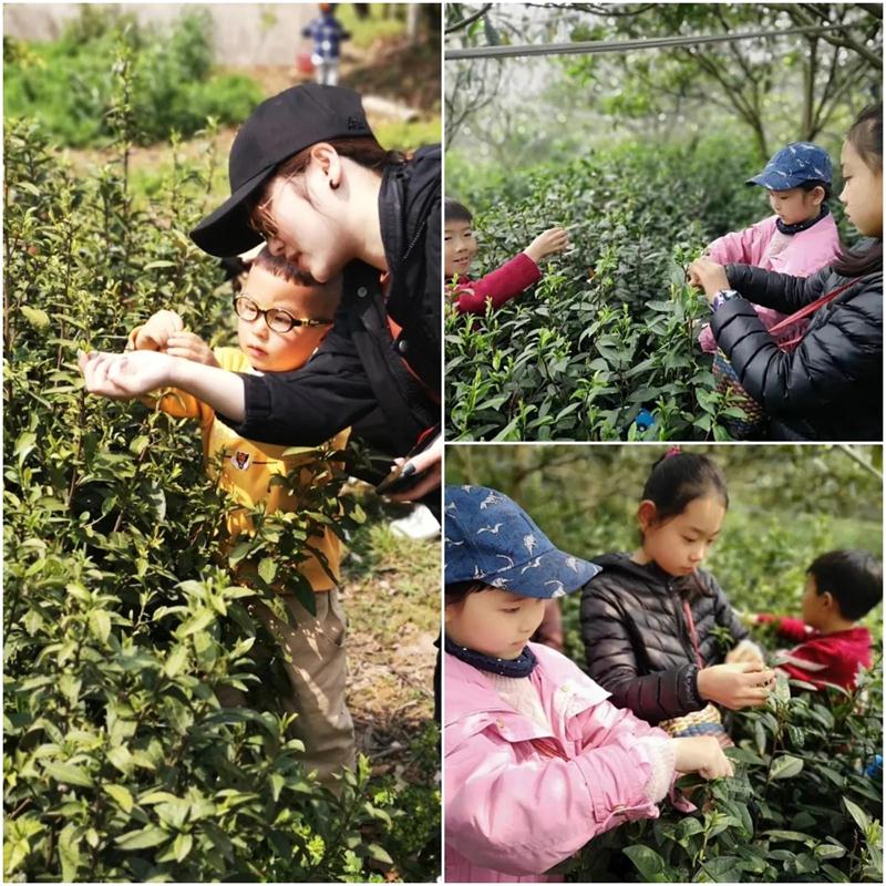 1605835206114610.jpg 太湖西山旅游策劃.jpg