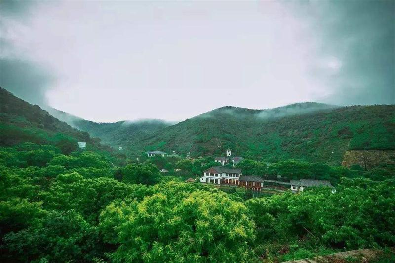 ̫���~��܎