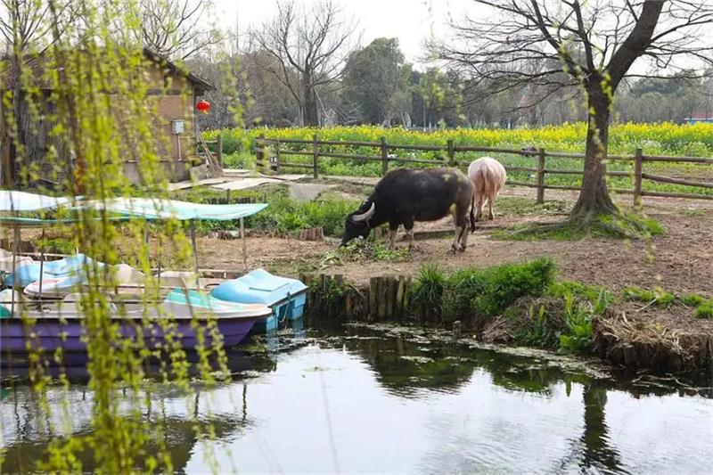 江南農(nóng)耕文化園 旅游團(tuán)建景區(qū)