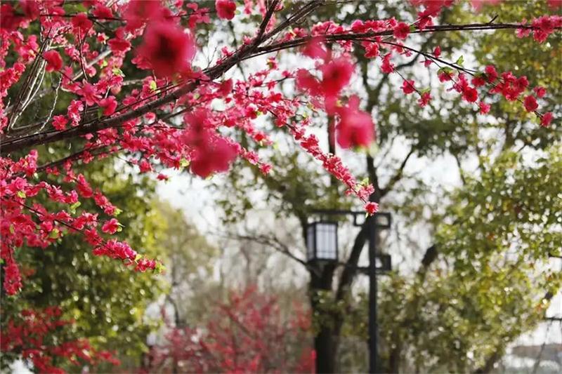 1606100288119714.jpg 旅游團(tuán)建景區(qū).jpg