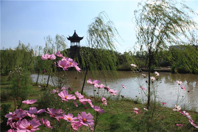 1606107997481009.jpg 3d4dcd45-3e12-451e-bb83-3ac651ef2d46.jpg