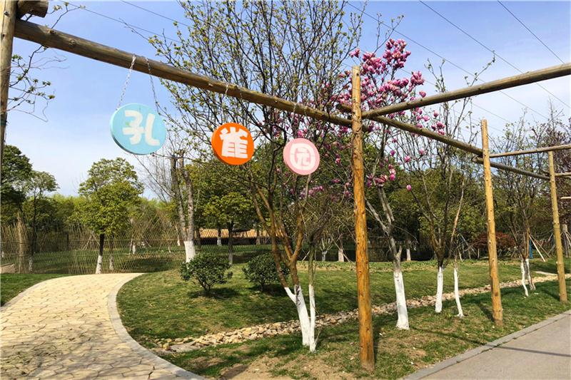 1606108042130433.jpg 1373dd97-ed55-4d80-a791-9f38e30545d9.jpg