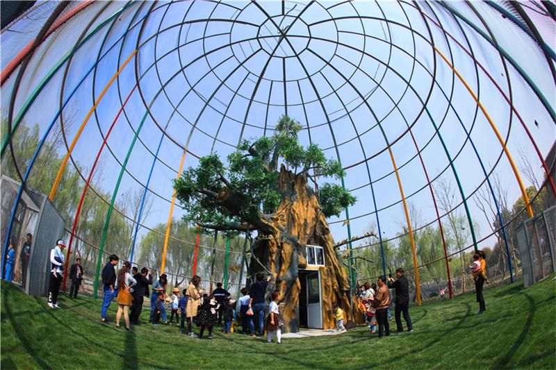 1606108156122855.jpg e998915f-c24c-43dd-ad45-eb467a1a88db.jpg