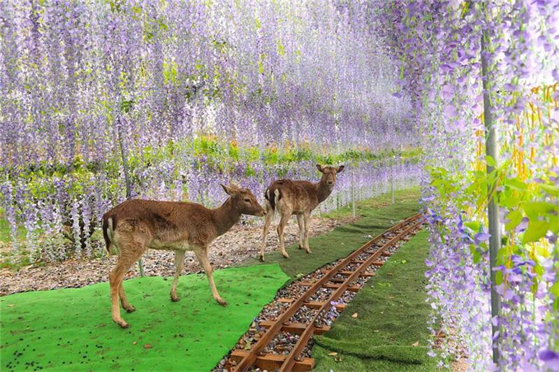 1606108968114516.jpg ce8cddee-9e35-4f8f-aec5-fe659064fddc.jpg