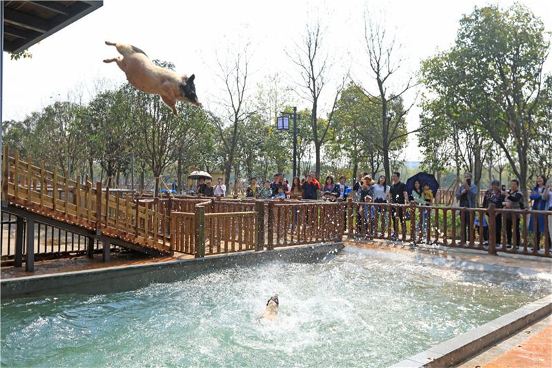 1606109512450155.jpg 35ea08e5-899a-4cf2-bc53-ae228ca6cef6.jpg