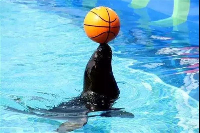 1606109555102346.jpg 旅游團(tuán)建策劃.jpg