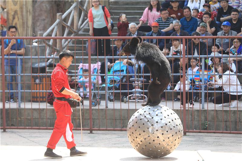 1606109597579853.jpg 旅游團(tuán)建景區(qū).jpg