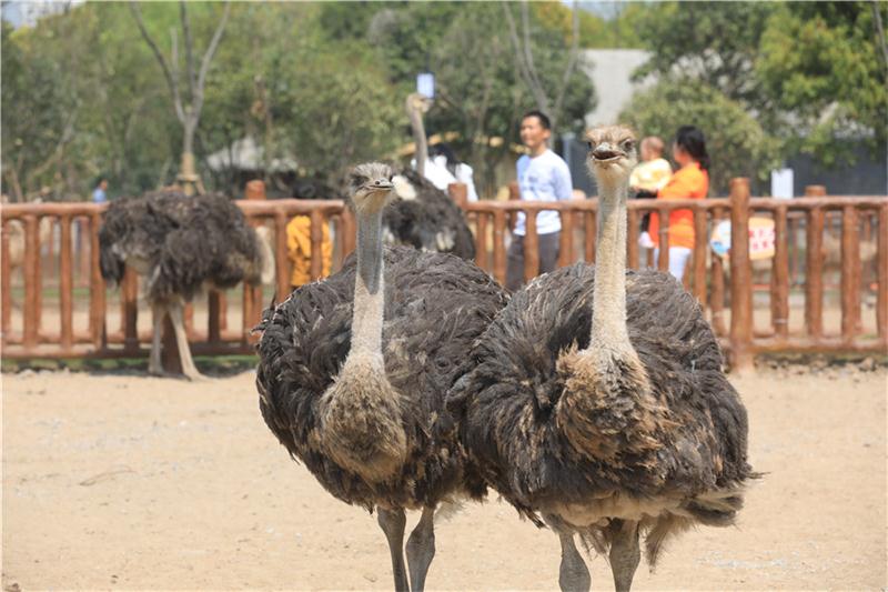 1606110626809298.jpg 江南農(nóng)耕園.jpg