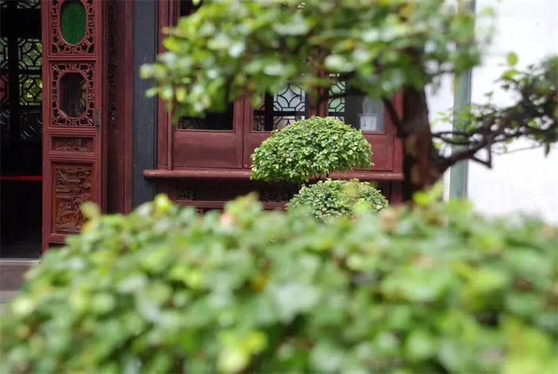 1606353487137013.jpg 太湖采茶活動(dòng)