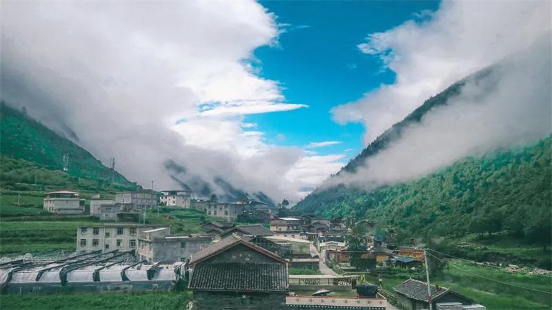 ���ΈF������