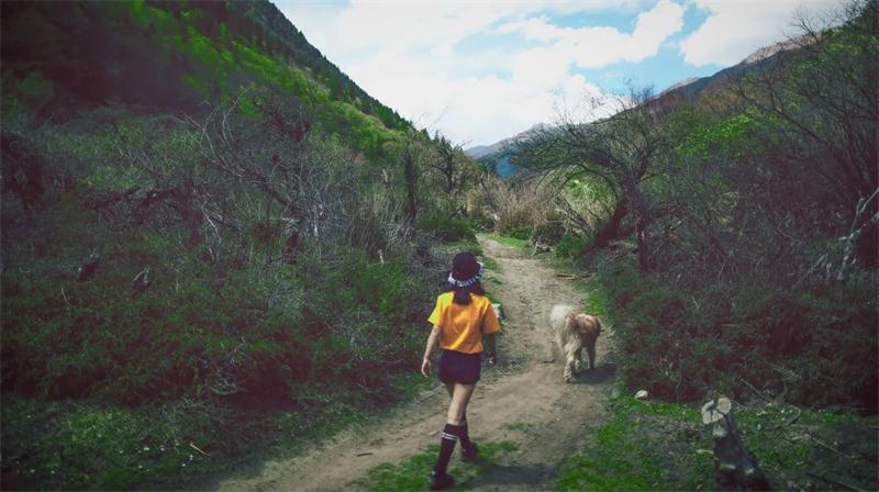 ��˾���ΈF���߄�����