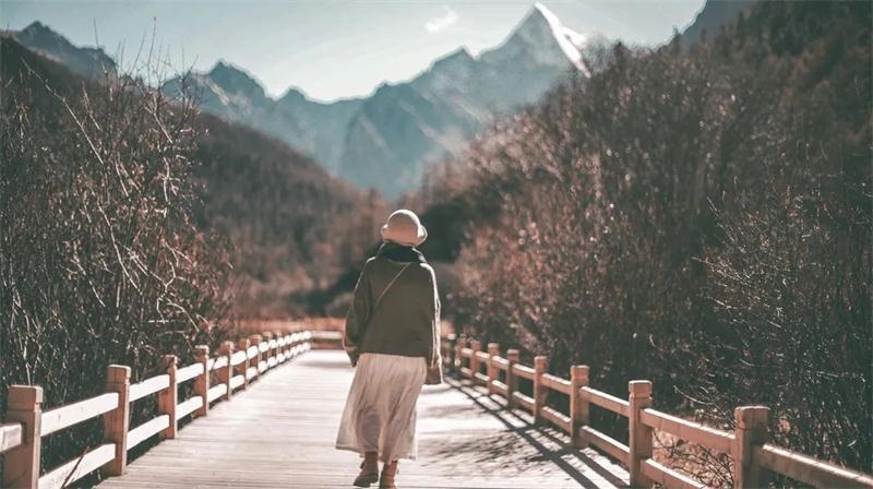 ���ΈF������