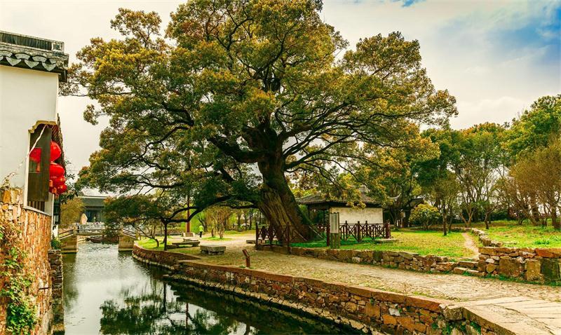 1611112931758478.jpg 明月灣古村