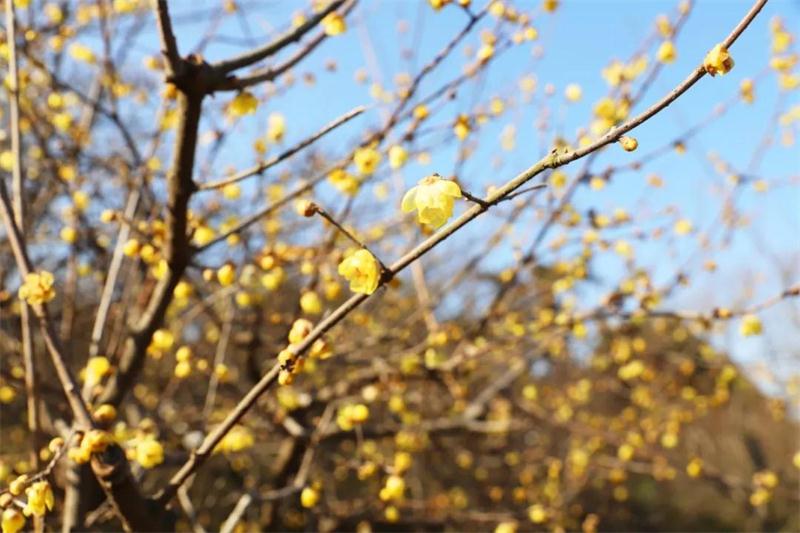 1611191076307246.jpg 太湖冬季活動.jpg