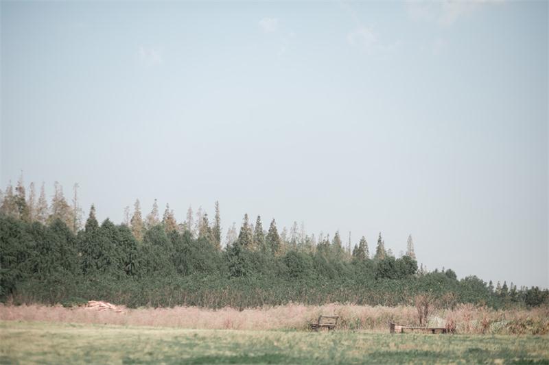太湖園博園活動 太湖園博園