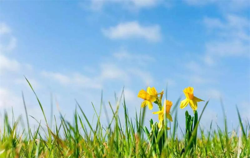 1612696871192739.jpg 戶外活動.jpg