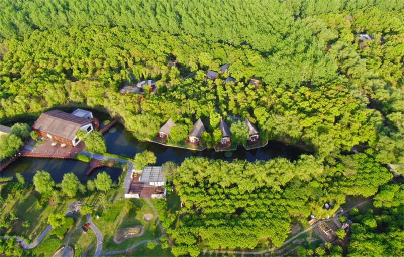 蘇州旅游團(tuán)建活動 森林里野奢溫泉度假酒店