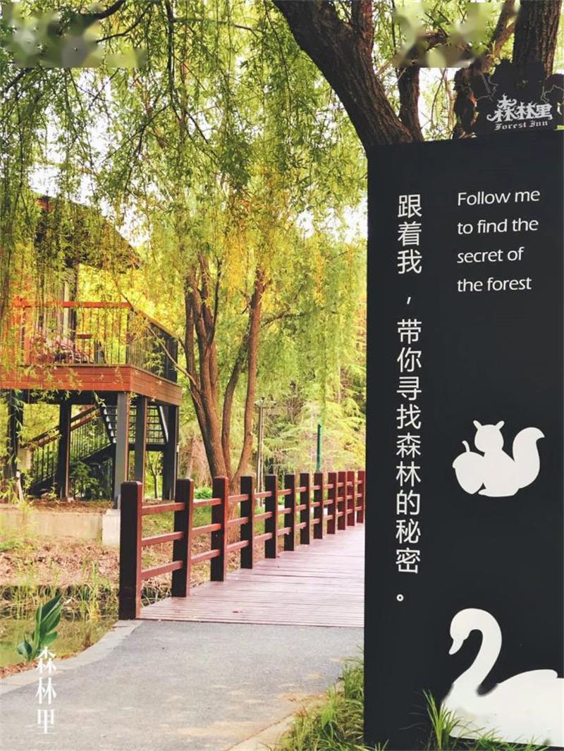 太湖旅游活動策劃 森林里野奢溫泉度假酒店