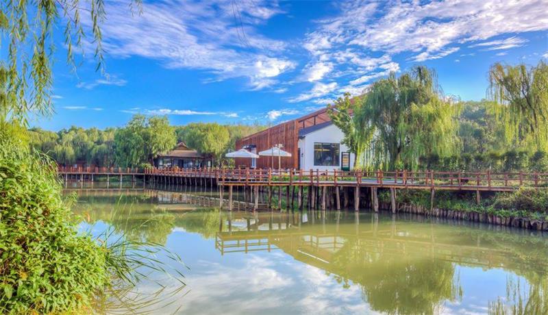 森林里度假酒店 森林里野奢溫泉度假酒店