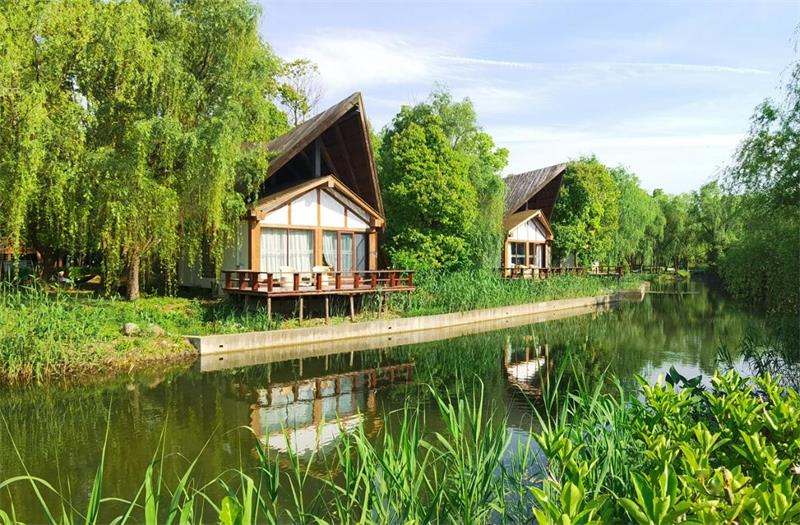 1614503373871393.jpg 森林里野奢溫泉度假酒店.jpg