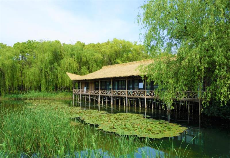 1614503570538930.jpg 森林里野奢溫泉度假酒店.jpg