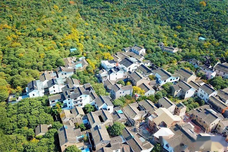 1614503861152375.jpg 陸巷古鎮(zhèn).jpg