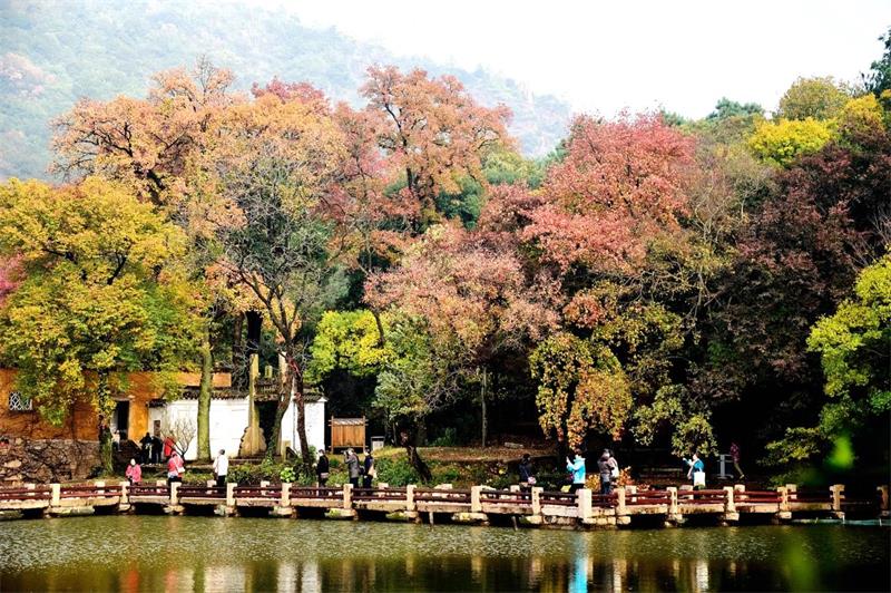 1614922430110910.jpg 天平山景區(qū).jpg