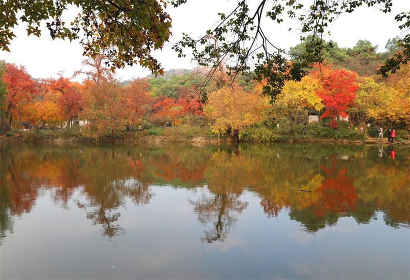 1614922515143898.jpg 蘇州天平山旅游團(tuán)建.jpg