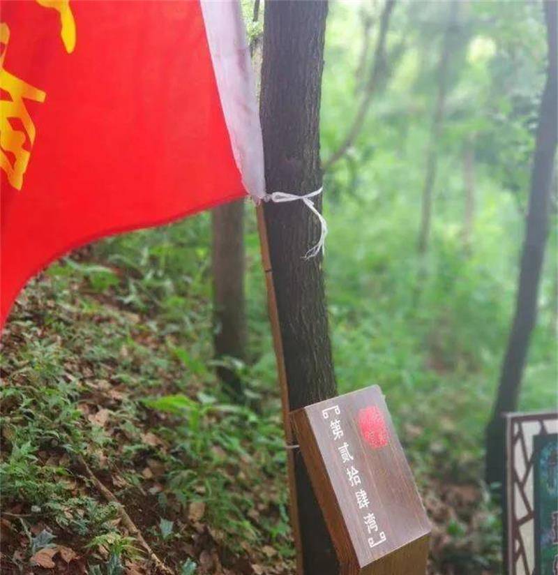 1617606910271315.jpg 蘇州東山旅行團(tuán)建.jpg