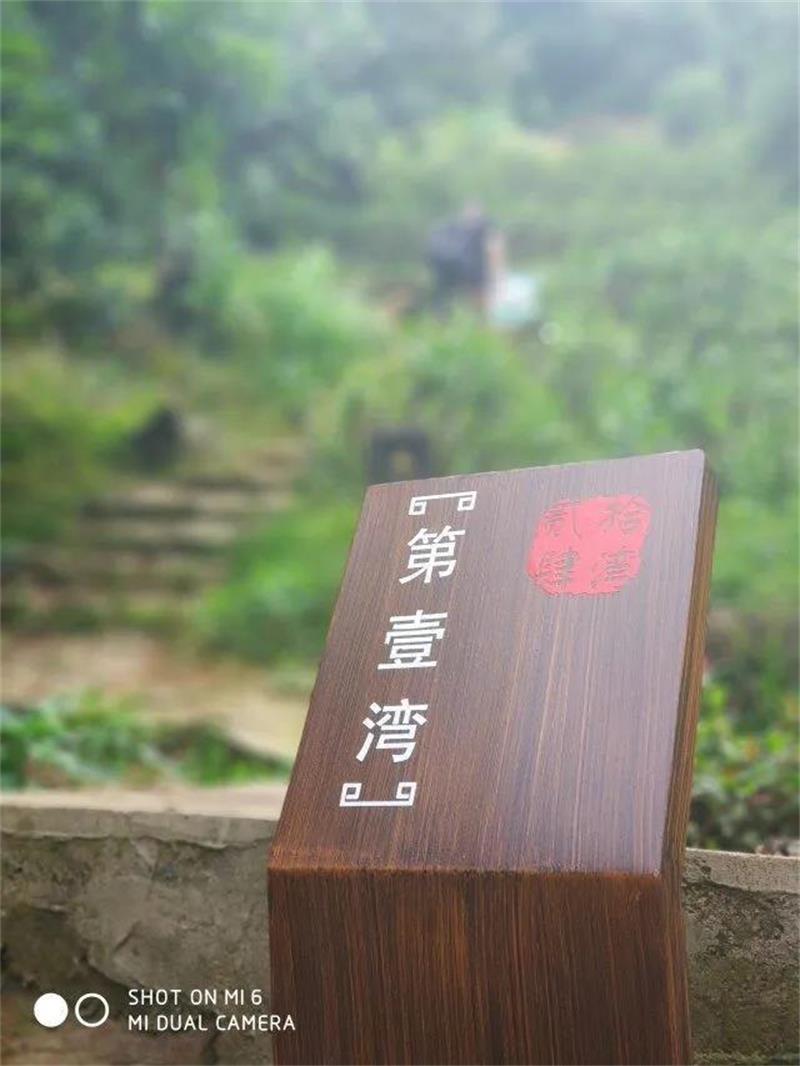 1617606983135502.jpg 太湖東山活動(dòng).jpg